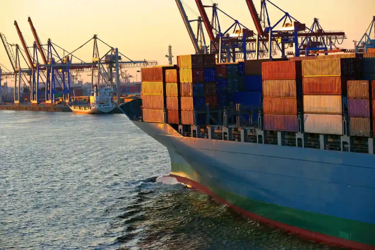 Customized sea freight services