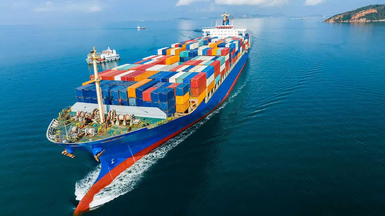 Dedicated logistics support for international apparel freight.